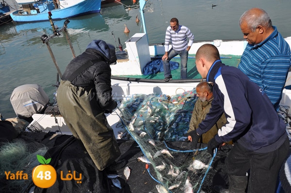 samak denisss (36).JPG